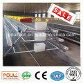 Automatic Layer Chicken Cage for The Poultry Farm